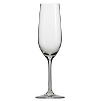 Schott Zwiesel Champagne Coupe Set of 6 #17700