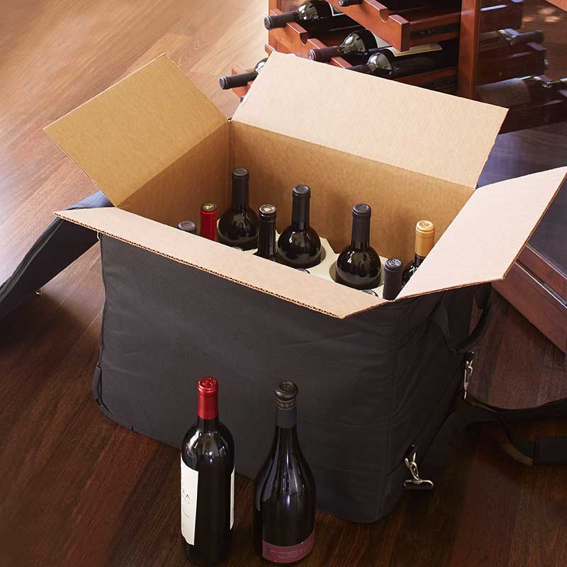 Wine Check Luggage Complete Set 7743 IWA Wine Accessories